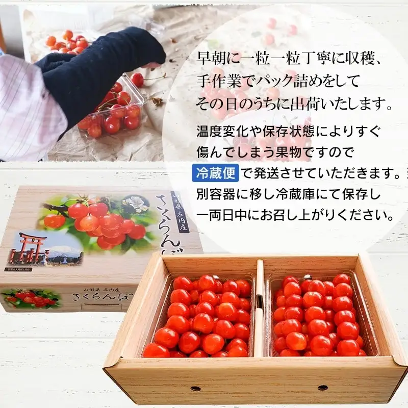 【令和8年産】 さくらんぼ　紅秀峰 2Lサイズ バラ詰め 1kg(500g×2P)　小林農園　| 紅秀峰 さくらんぼ サクランボ 人気 山形県産 約1kg 大粒 美味しい 甘い 完熟 ジューシー 朝採り 初夏 旬 果物 期間限定 フルーツ 数量限定 産地直送 ギフト 贈答用 送料無料 東北 山形 鶴岡 羽黒町産 返礼品