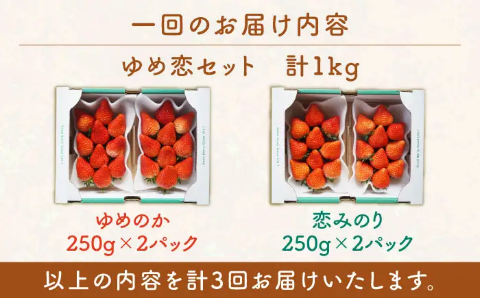 【全3回定期便】【先行予約】いちご イチゴ 苺 ゆめのか 恋みのり 計 1kg「ゆめ恋セット」 （250g × 4パック）【2027年2月以降順次発送】《壱岐市》【蒼花】 [JEO003] 45000 45000円