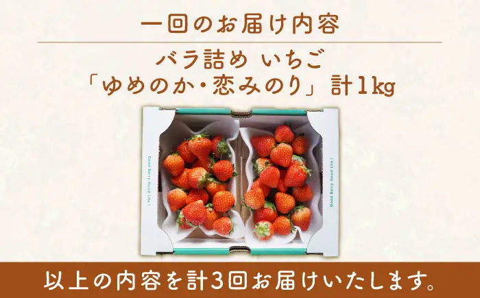 【全3回定期便】 【先行予約】いちご 1kg (ゆめのか/恋みのり) [JEO004]【2027年2月以降順次発送】