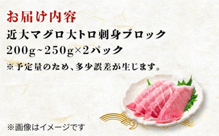 長崎県五島産 近大マグロ （大トロ）刺身ブロック 五島市/五島ヤマフ[PAK017] 