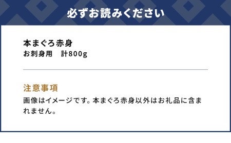 本マグロ お刺身用 赤身 5人前 (800g) | まぐろ 津久見市