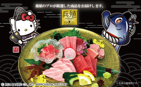 豊後 まぐろ ヨコヅーナ 刺し身用・中トロ 400g | 刺し身 津久見市