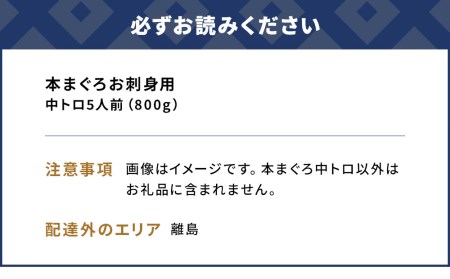 本まぐろ お刺し身用 中トロ 5人前 (800g) | まぐろ 刺し身 津久見市
