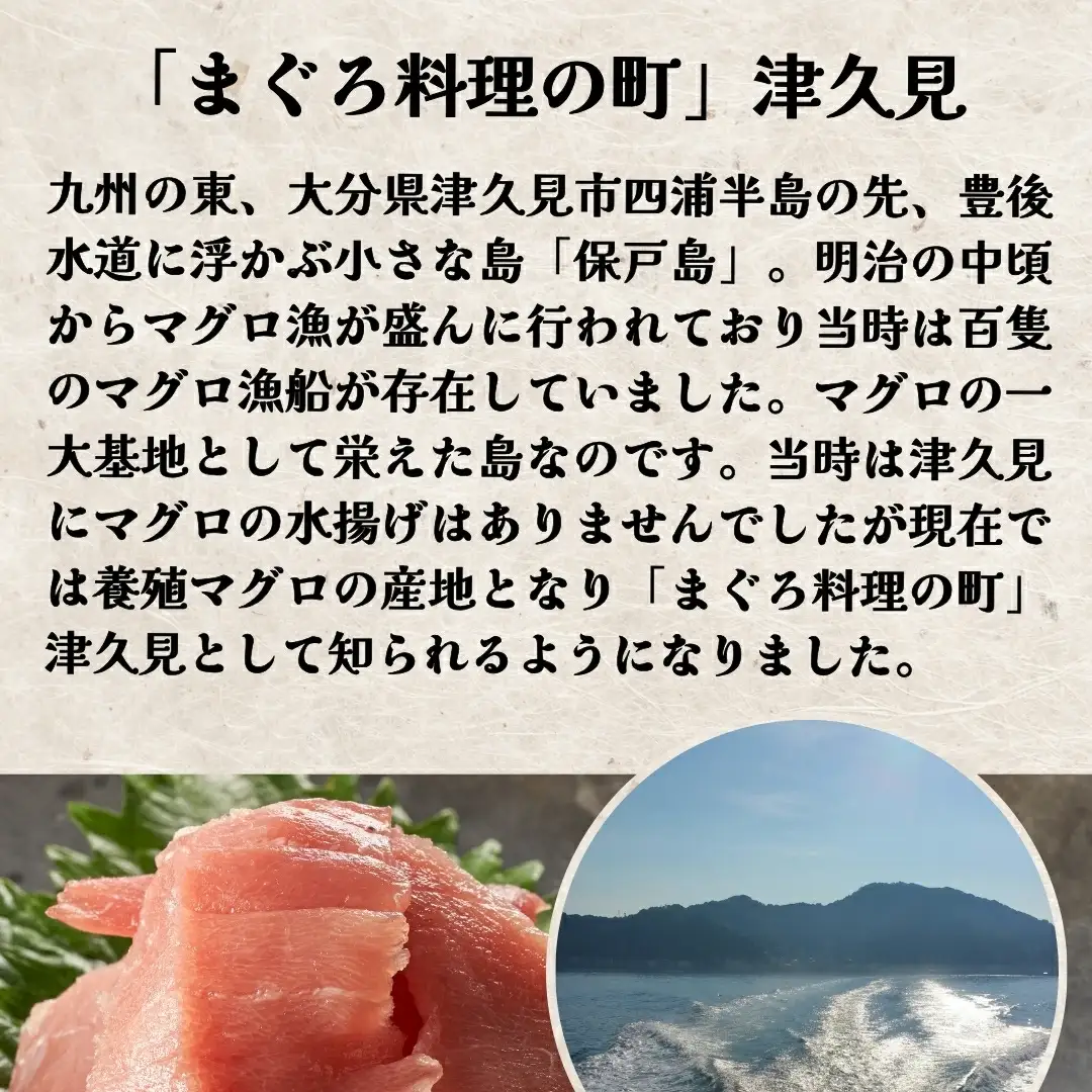 本マグロ 中トロ 赤身 セット | 本マグロ 津久見市