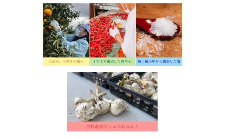 いのや。の3色 柚子胡椒セット（赤・黄・緑 各色60g）【ボックス付】※配送不可：離島 調味料 3種類 贈り物 ギフトボックス 詰め合わせ 食卓 肉料理 魚料理 おかず 味付け 辛味 ピリ辛 食べ比べ 