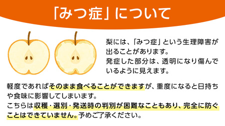 にっこり梨 約3kg 4玉～6玉 (茨城県共通返礼品:城里町) 2026年 フルーツ 甘い お正月 クリスマス 大玉 直送 茨城 限定 [CO001sa]