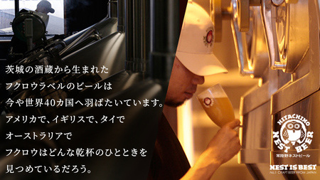 常陸野ネストビール ハニーヴァイツェン 入り 飲み比べ 4種 12本セット D [CJ006sa]