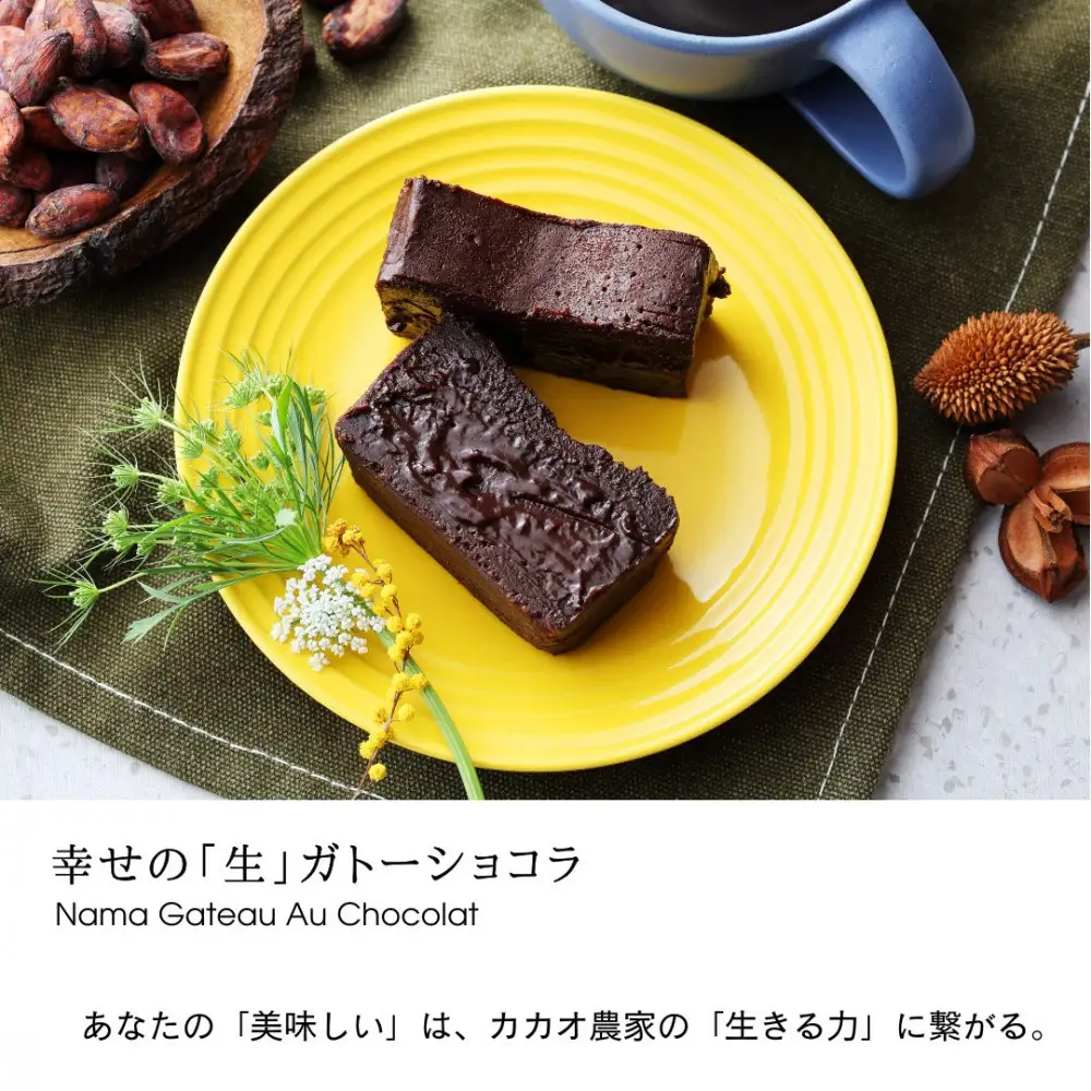  極上の口溶け。幸せの生ガトーショコラ 300g 2本セット【 高級 濃厚  極上スイーツ グルテンフリー チョコ ショコラテリーヌ 高品質クーベルチュールチョコレート使用 一流シェフ 神奈川県 小田原市 ガトーショコラ ガトーショコラ】