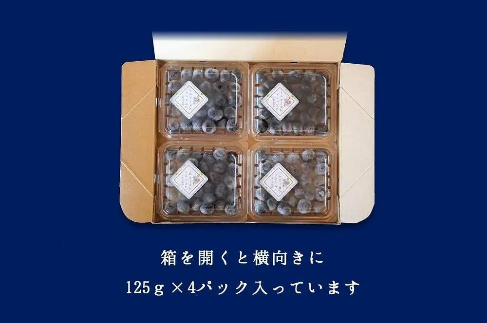 【2026年 予約受付】樹上完熟 フレッシュ ブルーベリー （無農薬・殺虫剤不使用） 500g （125g×4）