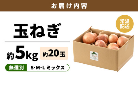 【先行予約】玉ねぎ 5kg（サイズ S M L ミックス）田んぼで育てた甘くて柔らか自慢の玉ねぎ！／ 野菜 玉葱 たまねぎ 甘い ※2026年7月上旬より順次発送予定 [aw056-a021]