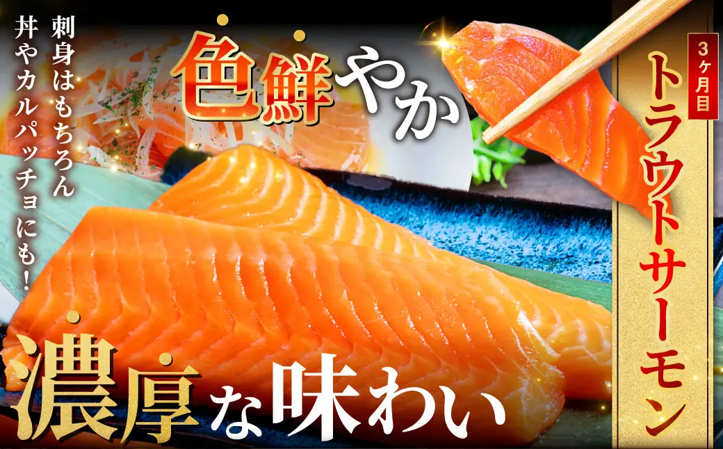 【3か月定期便】北の味覚海鮮3点定期便 いくら250g サーモン400g ほたて500g 海鮮丼 セット 鮭 シャケ サケ 魚卵 海鮮 海鮮セット 海鮮醤油漬 刺身 福袋 定期便 頒布会 3か月 3回