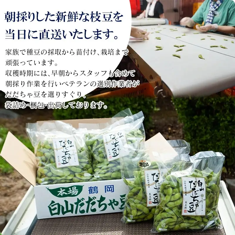 数量限定【令和8年産先行予約】 白山だだちゃ豆　3kg（500g×6袋） + 訳あり200g　鶴岡市白山産　長五郎