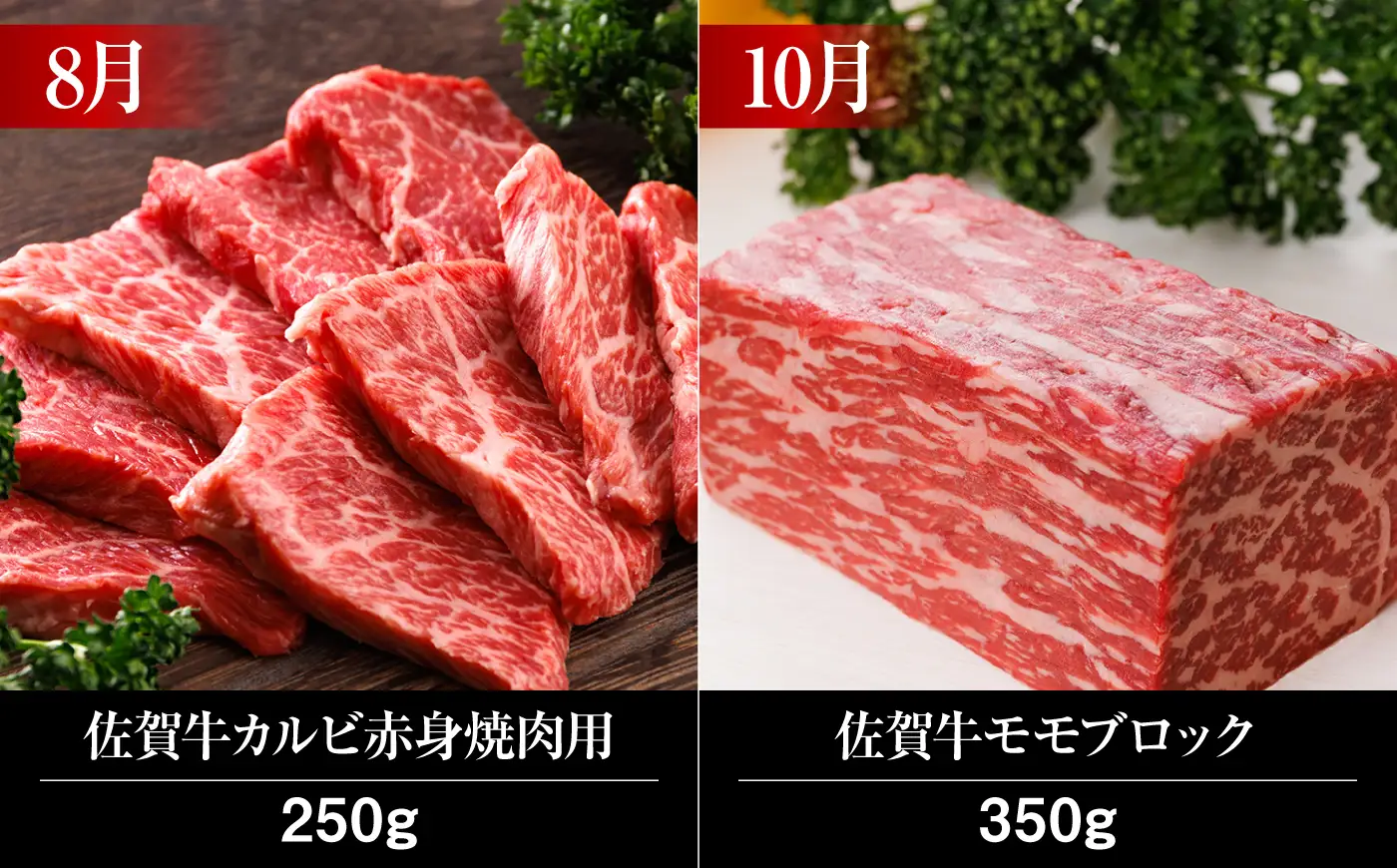 【全12回定期便】佐賀牛 食べ比べ定期便 約2人前 総計4kg UCC002 佐賀牛