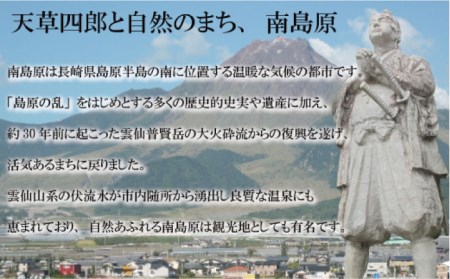 【12回定期便】【おうちで 焼き鳥 屋さん！】 串焼き 盛り合わせ 6種類 30本セット / やきとり ヤキトリ 焼鳥 串セット 国産 冷凍 小分け / 南島原市 / ふるさと企画 [SBA026]