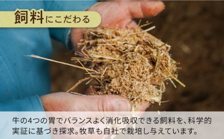 【6回定期便】長崎県産 和牛 切り落とし1kg / 南島原市 / 高田牧場 [SDB006]