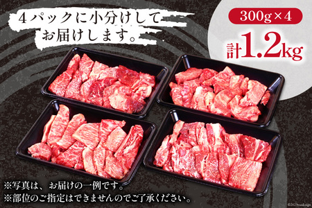 宮崎和牛 切り落とし 焼肉 1.2kg [道の駅「日向」物産館 宮崎県 日向市 452060797]