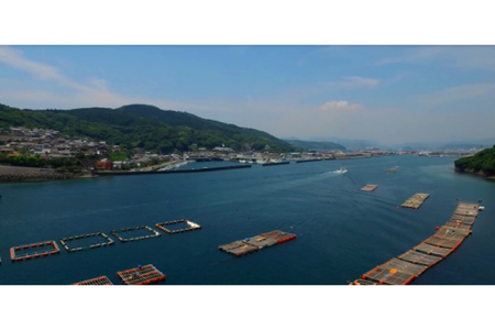 【期間限定発送】岩牡蠣 殻付き 細島 岩ガキ 約4.5kg [道の駅日向 宮崎県 日向市 452060571]