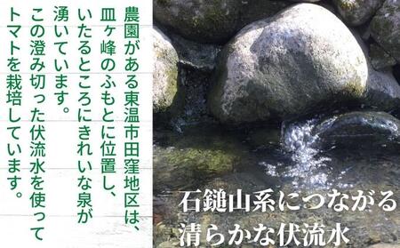 「栗林農園」素のままパスタソースとカラフルミニトマト詰合せ セット 素材の味 無水調理 凝縮 無着色 無香料 化学調味料 不使用 合成保存料 温室栽培 6品種 