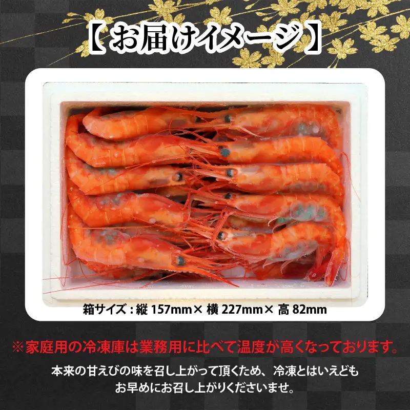 海の上で食べる味！漁船直送☆船内瞬間冷凍 プレミアム甘えび 約650g 【殻付き 有頭 生食 刺身 冷凍 魚介類 魚貝類 産地直送 坂井市産 福井県産 国産 三国 人気】 [A-23104]