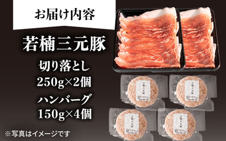 若楠三元豚 切り落とし ハンバーグ セット 総計1.1kg /ナチュラルフーズ [UBH010] 豚