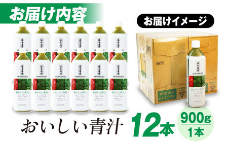 健康道場 おいしい青汁ペットボトル900g  12本 サンスター[AOAD031] 青汁
