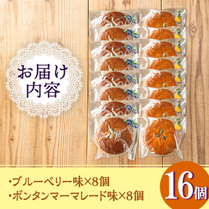 isa412 ＜数量限定＞ジャム菓子2種(ブルーベリー味8個、ボンタン味8個・計16個) 詰め合わせ 洋菓子 菓子 焼き菓子 ジャム ギフト 【薩摩美食倶楽部】