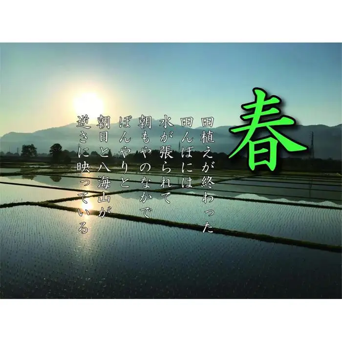 【令和7年産】【定期便 南魚沼産】コシヒカリ 白米5kg×6回