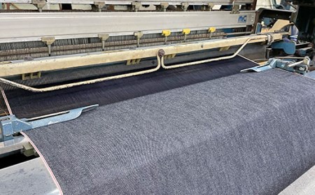 AKRacing Gyokuza Denim（ヘッドレスト・ランバーサポート付き）エーケーレーシング ゲーミングチェア