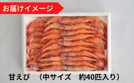 船内冷凍 甘えび（あかえび）中サイズ 40匹入り 700g前後 冷凍 えび エビ 56-02