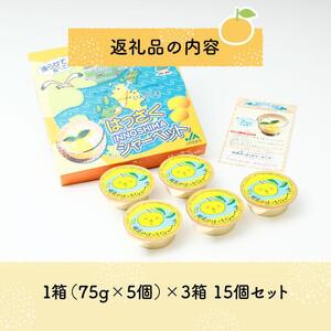 因島のはっさくシャーベット(未凍結）（75g×5個）3箱 15個セット