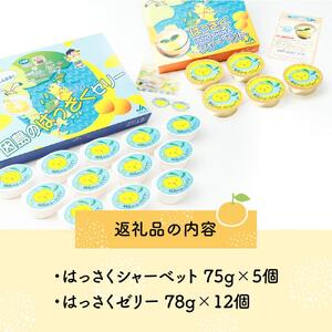 因島のはっさくシャーベット(未凍結）とゼリーの詰め合わせA （シャーベット5個、ゼリー12個）