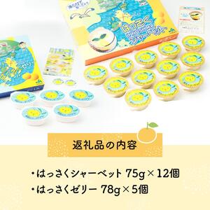 因島のはっさくシャーベット(未凍結）とゼリーの詰め合わせB （シャーベット12個、ゼリー5個）