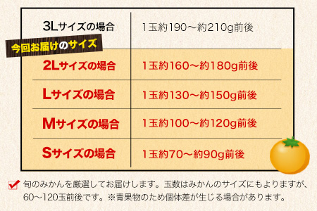 みかん 温州みかん 約 5kg 柑橘 フルーツ ミカン 蜜柑 《11月上旬-12月上旬頃出荷》熊本県 荒尾市産含む 熊本県 荒尾市 フレッシュフーズ 美味しいみかん 旬のみかん ジューシーみかん フルーツみかん