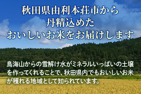 【玄米】 ＜通算5回 特A＞ ひとめぼれ   5kg 令和7年産 農家直送 渡部さんのひとめぼれ [ひとめぼれ 米 お米 こめ 玄米 ブランド米 食卓 おにぎり 秋田県産 秋田県 由利本荘市]
