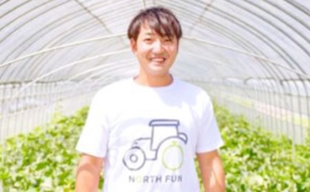【2026年6月～発送】富良野メロン 4～5玉 計約8kg (NORTH FUN) メロン フルーツ 果物