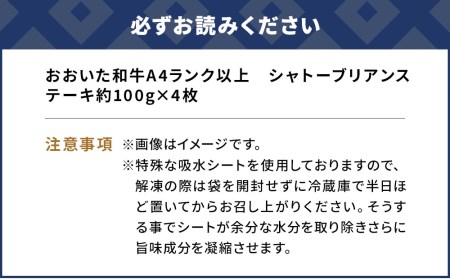 おおいた和牛 シャトーブリアン ステーキ 約100g×4枚 | シャトーブリアン 津久見市