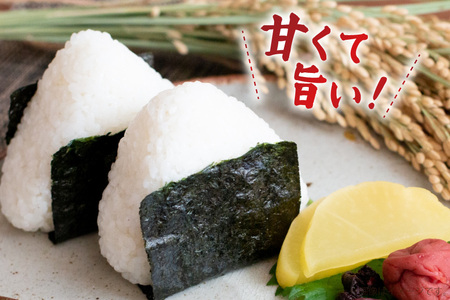 【俺の米】米 令和7年 コシヒカリ 無洗米 11kg [薄井 大地 長野県 池田町 48110782]