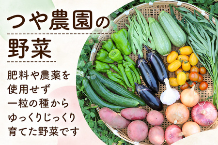 自然栽培 春夏 季節のお任せ野菜セット Lサイズ