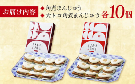 角煮まんじゅう10個 （箱）・大とろ角煮まんじゅう10個 （箱） 豚肉 東坡肉 ふわふわ ほかほか 五島市/岩崎本舗 [PFL021]  冷凍 豚 豚角煮 角煮饅頭 簡単調理 お取り寄せ