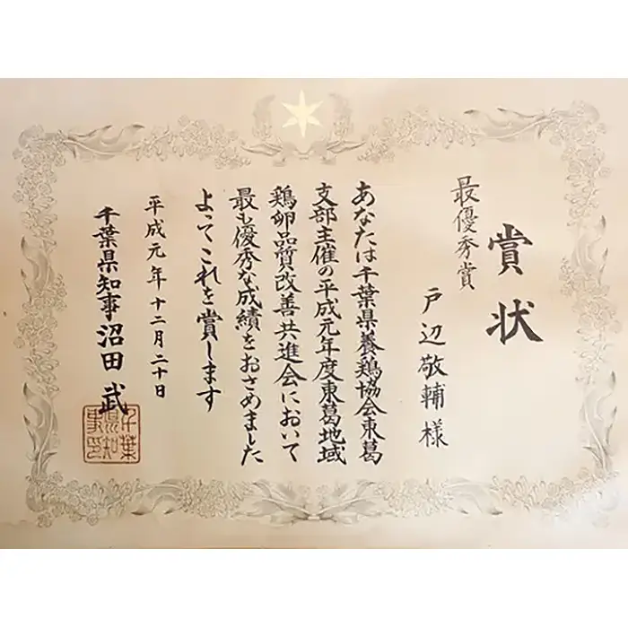 【毎月定期便6回】美味しい産みたて朝採り新鮮たまご（手集卵）ミネラルエッグ30個×6回 ／ 卵 生卵 鶏卵 濃厚 鮮度抜群 朝取り TKG 卵かけご飯 お取り寄せ グルメ 大容量 まとめ買い 詰め合わせ 弁当 お菓子作り お裾分け 産地直送 厳選 旨み コク 安心安全 千葉県 No.091