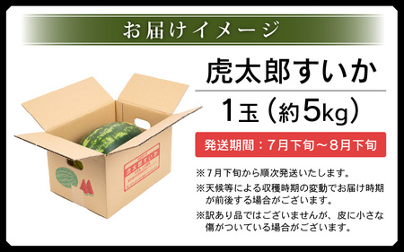 【先行予約】スイカ 虎太郎すいか　1玉  [e58-a003]