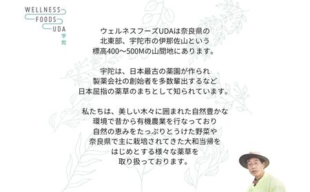 ミックス ハーブ 入浴剤 1箱(5包入)×2個／ ウェルネスフーズ UDA 大和当帰 薬草 リラックス ストレス解消 ボディケア 肌荒れ改善 疲労回復 大和当帰 ゆず レモングラス どくだみ 紫蘇 よもぎ アップルミント セイタカアワダチソウ しょうが 奈良県 宇陀市