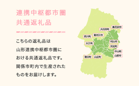 2026年産先行予約 山形県産さくらんぼ 佐藤錦 1kg mm-snalx1000