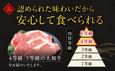 和牛 大和牛ヒレ 160g×5枚 ステーキ用 F-33