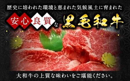 上質和牛 ブランド豚 大和牛肩ロース切落し・ヤマトポークロース切落しセット 黒毛和牛 国産牛肉 U-11