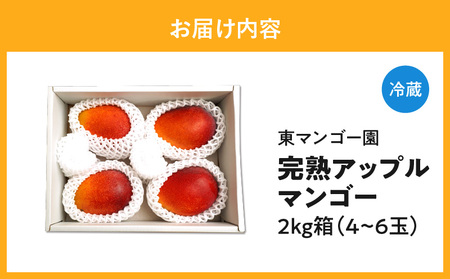 【 2026年 先行予約 】 南の島 で 太陽 の日差しをたっぷり浴びた 沖永良部産 「 完熟 アップルマンゴー 」 2kg W014-008u 果物 マンゴー
