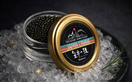 【純国産キャビア】ホワイトスタージョンキャビア 20g 皇帝の涙 国産 チョウザメ 魚卵 宮崎県