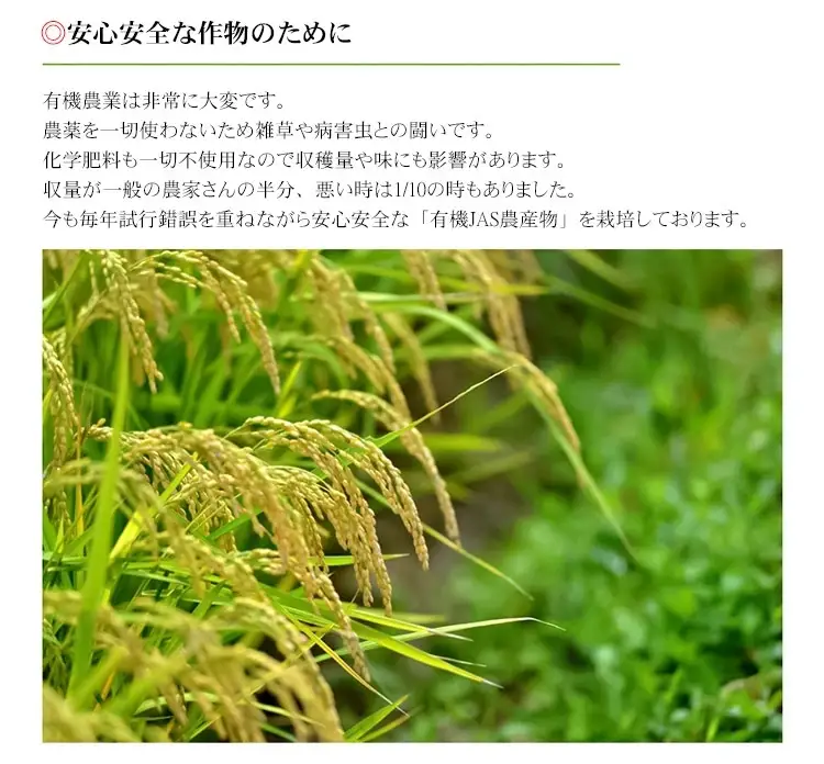 【令和7年産】おやじの米 JAS有機栽培米 コシヒカリ 白米 5kg 山形県鶴岡産　鈴木農産企画