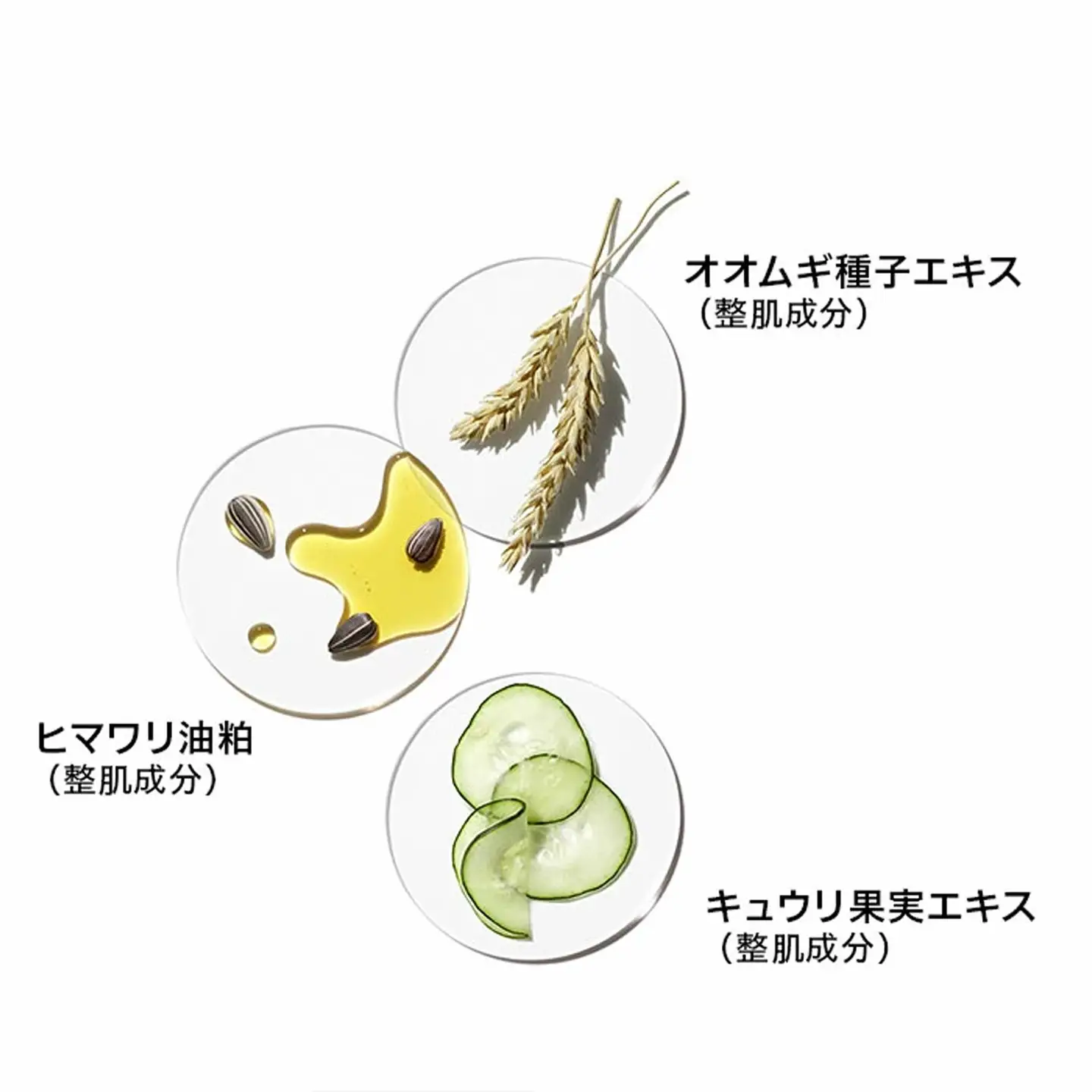 ドラマティカリー ディファレント モイスチャライジング ローション プラス 125mL 【 クリニーク DDML+ DDML 乳液 CLINIQUE 公式 スキンケア 美容 化粧品 コスメ 保水美肌 保湿 乾燥肌 混合肌 】
