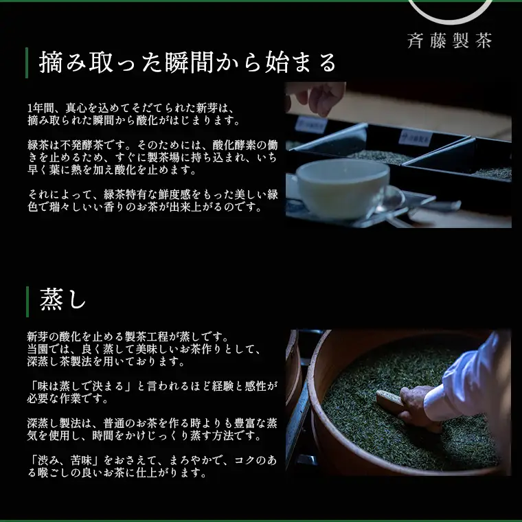 S228 お茶農家の さしま茶詰合わせ ギフトセット